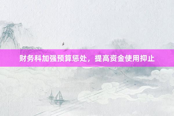 财务科加强预算惩处，提高资金使用抑止